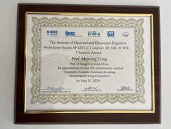 The Chapters Award Prof. Meisong Tong